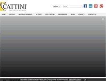 Tablet Screenshot of cattini.it