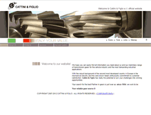 Tablet Screenshot of cattini.com